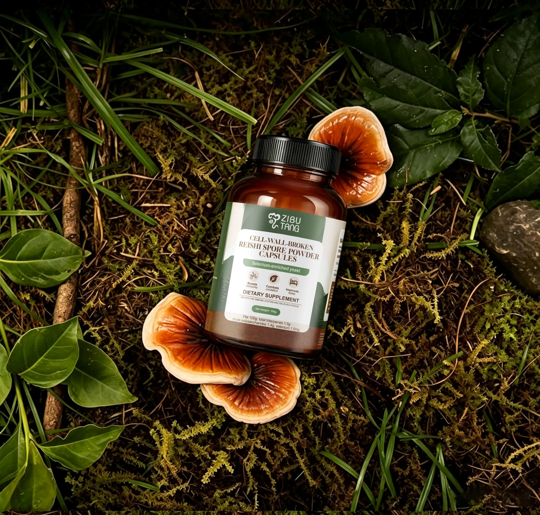 Cell-wall-broken Reishi Spore Powder Capsules